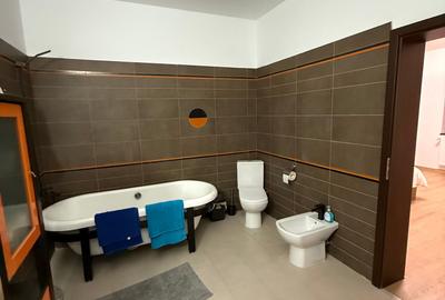 Duplex - de inchiriat - Dumbravita - 28