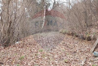 Teren Construcții intravilan de 2710 mp, în Schei - 14