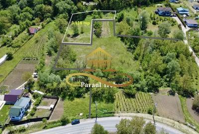 Teren intravilan | 3.128 mp INTRAVILAN | Luncani-de vanzare - 6