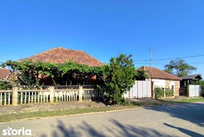 Casă cu 4 camere cu Teren 4600 Mp în Lăzăreni - 19