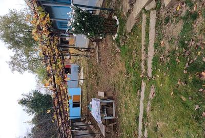 Casă cu 3 camere în Leorda - 4