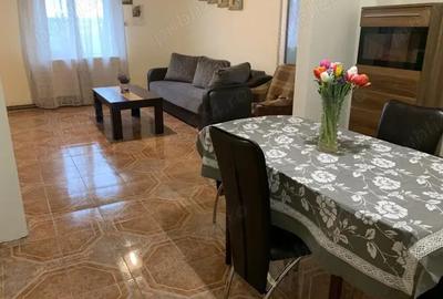 Casa spa?ioasa + 3000mp teren, foraj 120m, zona pitoreasca Balint, Timi? - 6