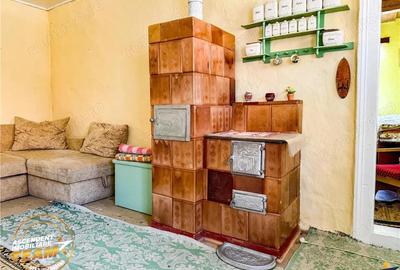 FILM! Doua case+anexe,rezidential comercial de vacanta,Zagon,Covasna - 11