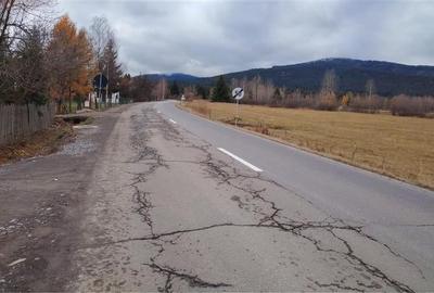 Teren extravilan in Borzont, langa DN13B - 5