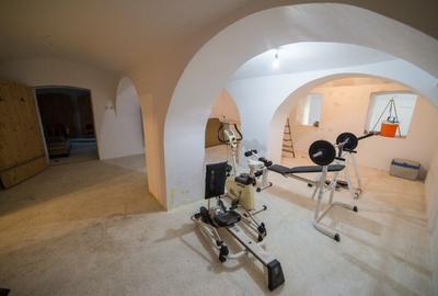 Vand CONAC cu istoric, sec XIX, renovat si evaluat in primele 10 din Romania, granita Varsand - 4