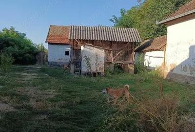 Casă cu 4 camere în Boiu - 2