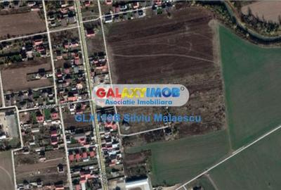 Teren de 2500 mp, în Ciorogârla - 4