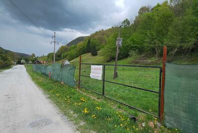 Teren de 2450 mp, în Bulz - 8