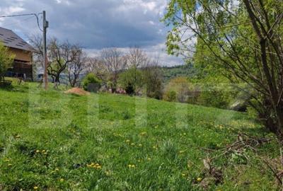 Teren intravilan, 1865 mp, de vanzare in Moieciu - Brasov - 4