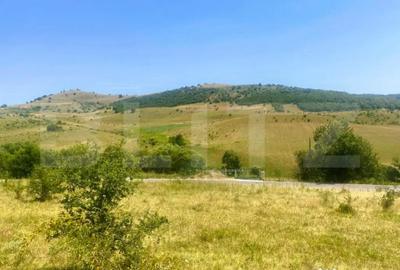 Teren de 1100 mp, în Ciurila - 3