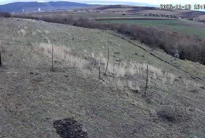 Vând 14800 mp teren extravilan in borsa catun - 1