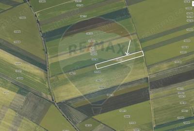 Teren de 9750 mp, în Hălchiu - 3