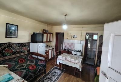 Casa renovabila 2,2 arii taren in Raciu - 7