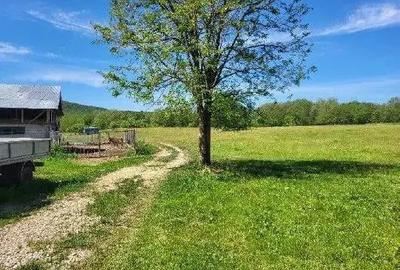 Teren extravilan arabil Tisau, ID: R2590475 - 2