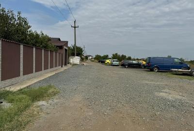 Vanzare Teren Rezidentiak  Magurele 5000mp - 8