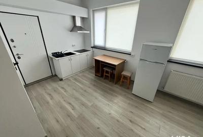 Inchiriere garsoniera 24mp, etaj 1, langa Kaufland Burdujeni Suceava - 2