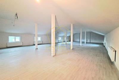 Spatiu Comercial tip Hala I Giroc - 12