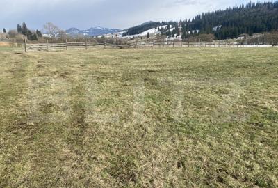 Teren de 12500 mp, în Coșna