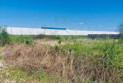 TEREN INTRAVILAN Pitesti - Bananani  - 2183 mp - 2