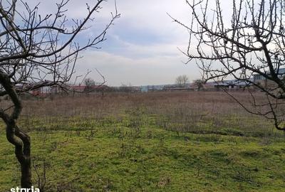 Teren de 4625 mp, în Frecăței - 3
