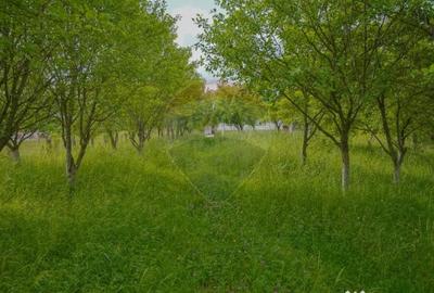 Casă cu 4 camere cu Canalizare în Racoș - 10