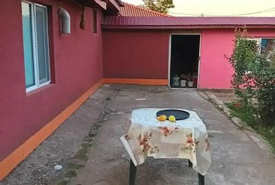 Casa de vanzare in M.Viteazu jud.Constanta. - 8