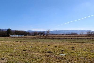 Spațiu comercial, în Stupinii Prejmerului