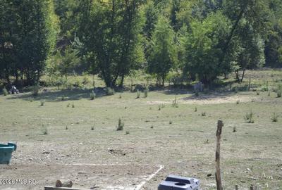 Bogati - Glimbocel, Ferma Zootehnica, Cladiri 1996 mp, Teren 4.89 ha - 17