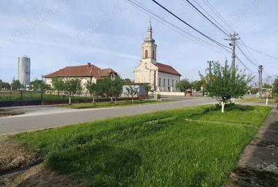 Vand casa cu teren sat Sarbova - 8