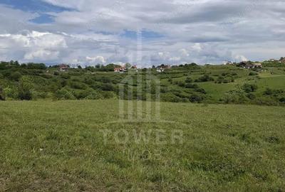 Teren de 11500 mp, în Daia - 11