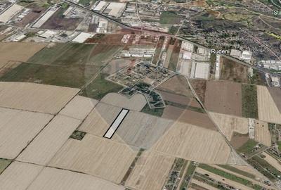 Teren Construcții intravilan de 10000 mp, în Dragomirești-Vale - 3