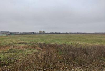 Teren de 4588 mp, în Remetea Mare - 2