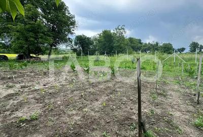 Casa individuala Comision 0% teren 800 mp 3 camere anexe Rusi Sibiu - 12