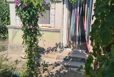 Casă cu Teren 700 Mp în Corbii Mari - 3