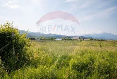 COMISION 0% | TEREN CU PUZ | 1205MP | CRISTIAN | INTRAVILAN - 4