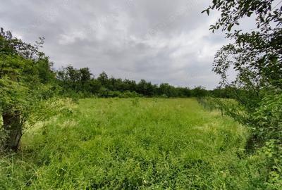 Teren de 18645 mp, în Sântămăria de Piatră - 16