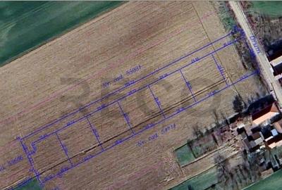 RECO parcele teren Sannicolaul Roman - 1