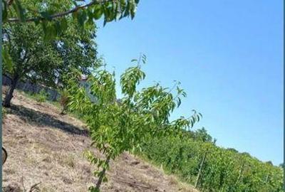 Teren de 1700 mp, în Valea Călugărească - 2