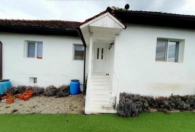 Inchiriere casa cocheta, situata in Tetila (Curti?oara Go - 12