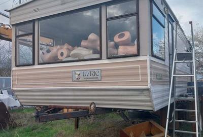 Rulota americana Rulota americana - 2