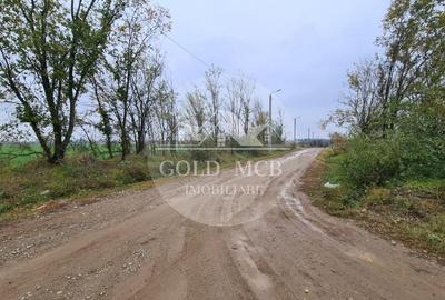 Teren Branesti -Romancierilor - 5