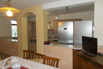 Vila, Timisoara, D+P+E+pod, zona Lipovei, 7 cam, 480mp teren - 17