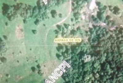 Teren de 18800 mp, în Arpașu de Sus - 3
