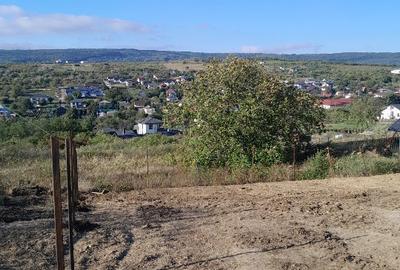 Teren Construcții intravilan de 837 mp, în Tomești - 1