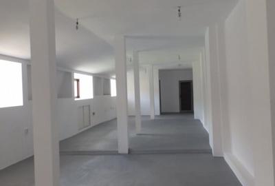 Casa parter plus Mansarda zona Ultracentrala, teren 550mp - 9