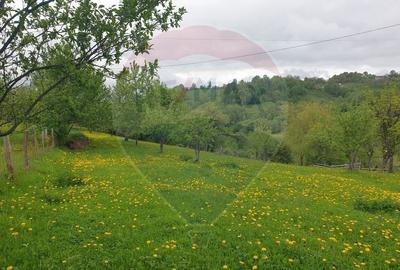 Teren Construcții intravilan de 1000 mp, în Bran - 5