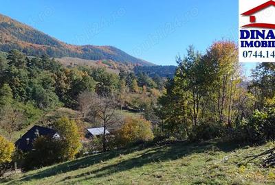 3600 mp teren intravilan, sat Bistrita, 19 Euro mp - 2