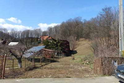 Teren de 1206 mp, în Exterior Vest - 4