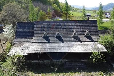 Casa de vancata Bucsoaia - 19