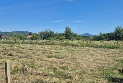 Teren de 3000 mp, în Merișor - 2